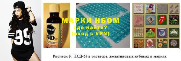 прущий лед Алзамай