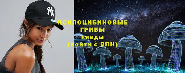 спиды Алексин