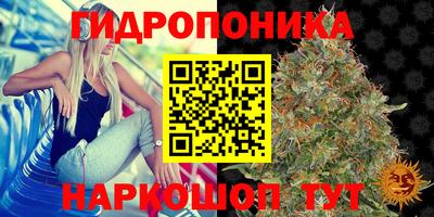метадон Гусь-Хрустальный