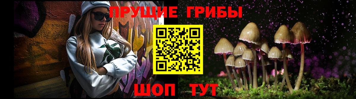 Псилоцибиновые грибы Cubensis  Вход с VPN  Серов 