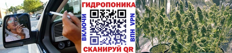 цена наркотик  Серов  Каннабис сатива 
